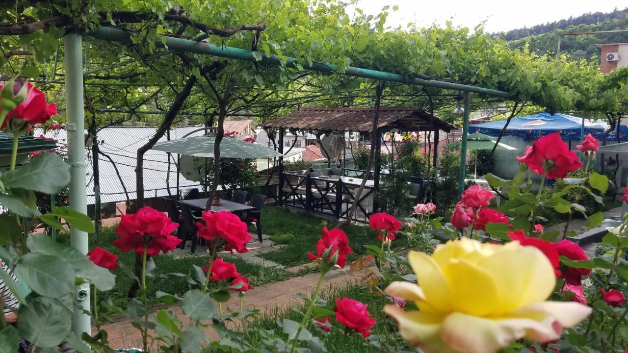 Guest House Green Rose Borjomi Exterior foto